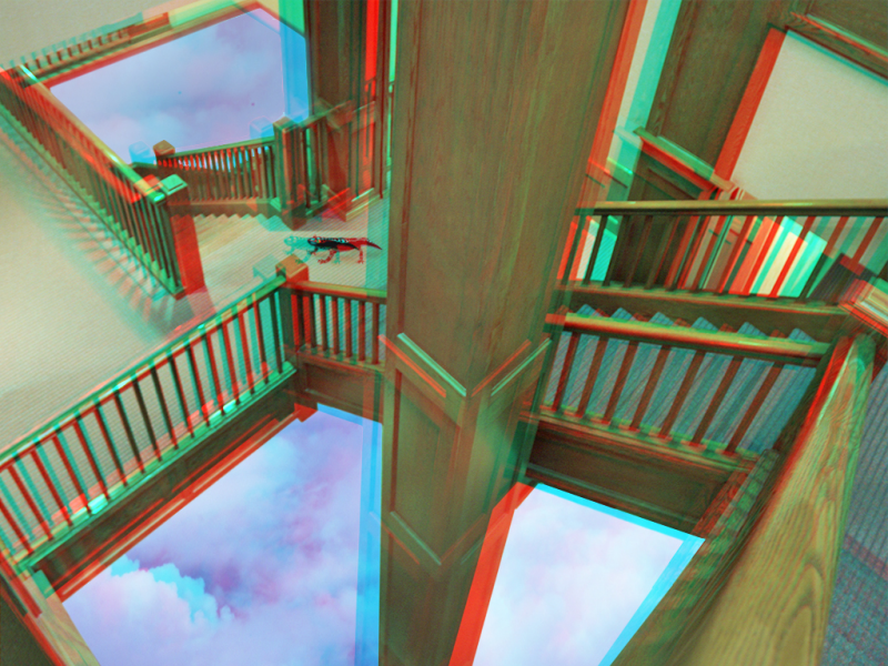 Newt Descending A Staircase