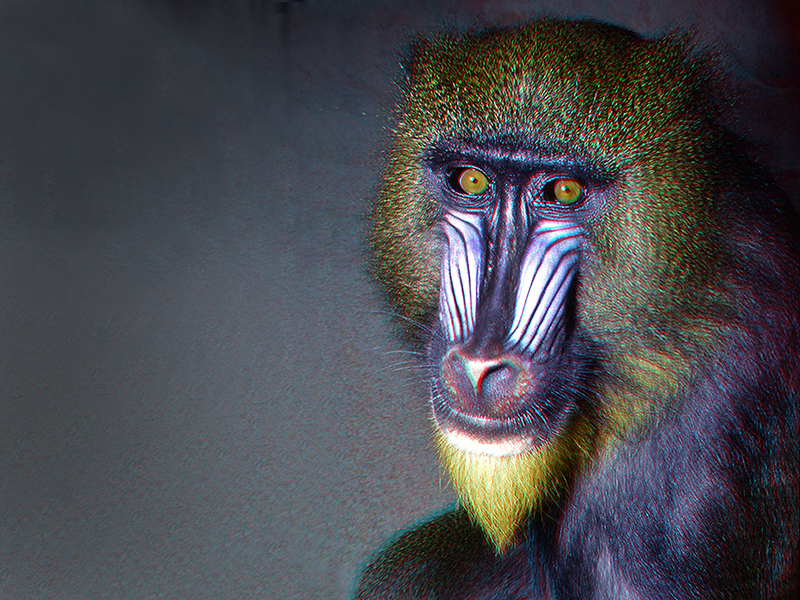 Mandrill