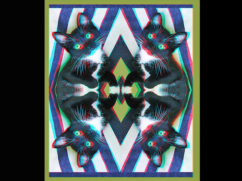 Kaleidocat