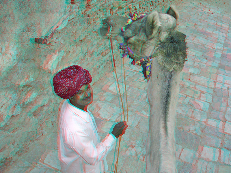 Camel Driver (Jaipur, India)