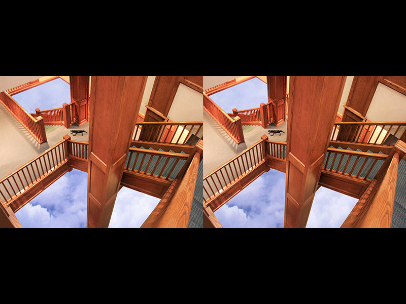 Newt Descending A Staircase