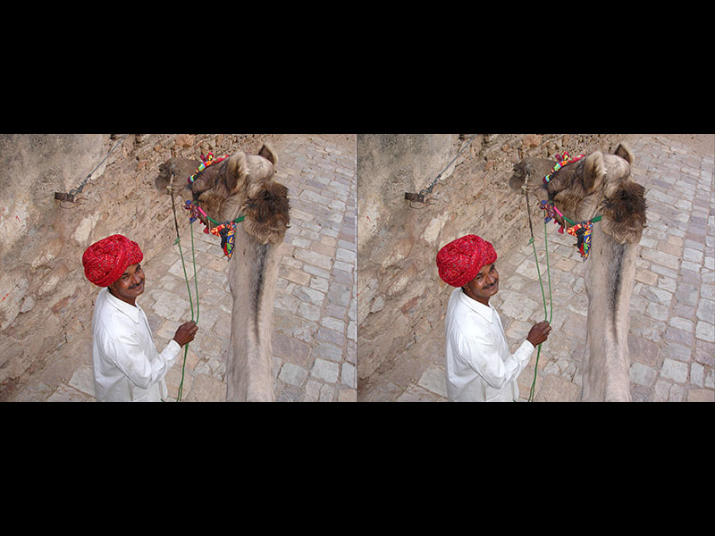 Camel Driver (Jaipur, India)