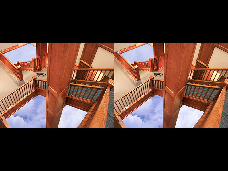 Newt Descending A Staircase