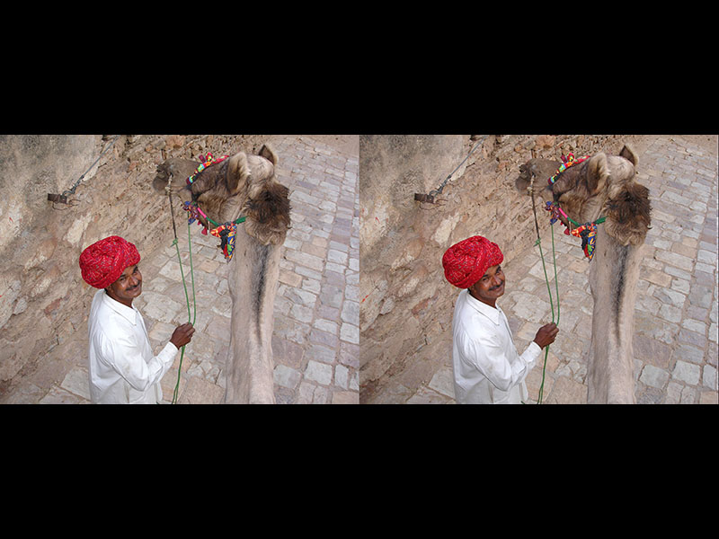 Camel Driver (Jaipur, India)